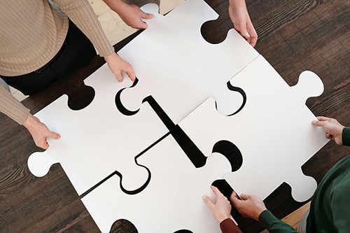 Organigrammi TSF e membri